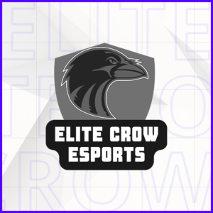 Elite Crow eSports